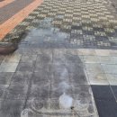 문산실내체육관 실내체육관 | 진주청소업체 에듀클린 믿고 맡기는 곳 보도블럭 이끼제거 실전 후기
