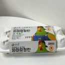 자미유정란 이미지