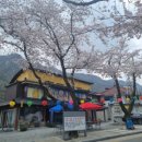 반포면사무소 화장실 이미지