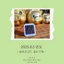 선유동민박 | 문경계곡 황토펜션 여름 숙면 리포트: 실내·실외·계곡 온도 비교 (2025.8.5)