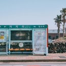 제주 올레길 14코스 이미지