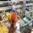 G00192 | 이탈리아 로마 3대 젤라또 비교 올드브릿지 지올리띠 지파씨 벤키