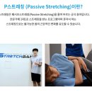스트레치뱅수지성복역점