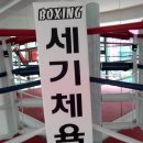 세기 복싱 체육관 이미지