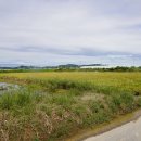 치열목장 이미지