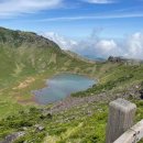 제주도 한라산(털진달래)산행 이미지