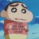 나만없어고양이 이미지
