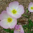 함지노인복지관 이미지