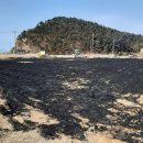 백령119안전센터 이미지