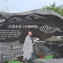 물소리 새소리 이미지