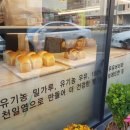 밀브래드 이미지