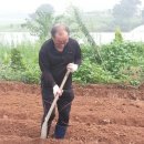 성모농장 이미지