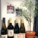 방배천로16길 11-11 이미지