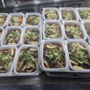 매일백반(도시락) | 부여 백반 도시락 단체주문 전문 일주일내내 메뉴가 다른 곳