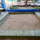 원앙초교병설 이미지