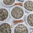 산호동382 | 맘앤맘마창원점-5월11일(화)이유식