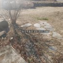 내서읍453 이미지