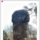 김감 티스토리