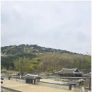 달달미트