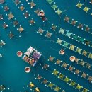 gc-camera-020 이미지