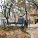 천보체육회 네이버블로그