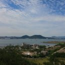 대불공원 좌측 이미지