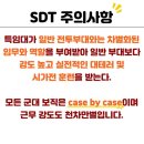 SDT(군사경찰특임대) 이미지