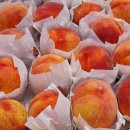 용택농장 이미지