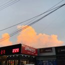 산호대로-8 이미지