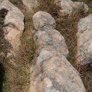 암태초등학교 이미지