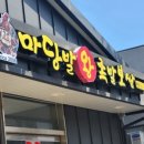 마당발왕족발보쌈