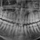 금세치과의원 이미지