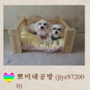 뽀미네공방 네이버블로그