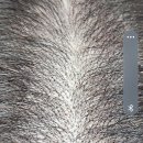 헤어스토리(hair story) | 두피문신 후기: 연기 지망생의 오랜 콤플렉스, 리커맨드 헤어랩에서 해결한 리얼 스토리