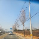 유니팍