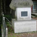 노동리 Daum카페