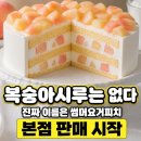 아임598 | 성심당 복숭아시루, 정식 이름은 썸머요거피치, 오늘부터 본점 판매