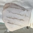 수원-0884 | 수원피부관리 '에이시왁싱' 엑시드닝 후기