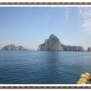 백도겸 카카오 검색결과