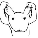 대화하이약국 이미지