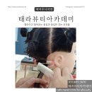 태라헤어아트