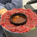 댕댕이묭실 이미지