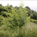 원산농장 이미지