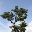 고인경로당 이미지