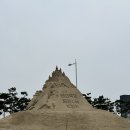 솔내음 | 안면도 애견동반 펜션 마당있는 솔내음펜션 블루베리 객실 후기