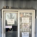 도동 | 서울역, 남산타워 근처 맛집 도동집 내돈내산 찐 단골 후기 +도동비면, 불고기파전