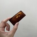 서귀포토속촌 | 봄날의 햇살