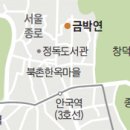 현대금박
