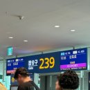 766 | 대한항공 삿포로행 KE765, KE766 기내식 및 비행후기 / 면세점 보조배터리 기내 반입 정보