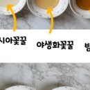 산삼골꿀벌영농조합법인 이미지